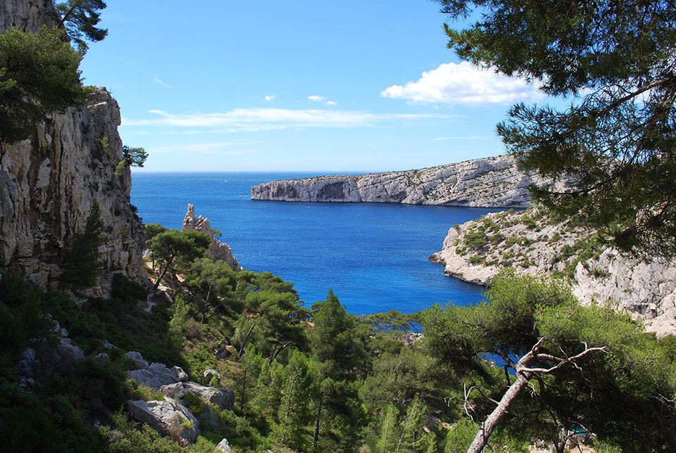 sugiton garrigue