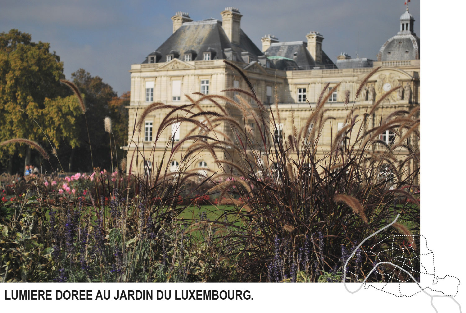 jardin du luxembourg