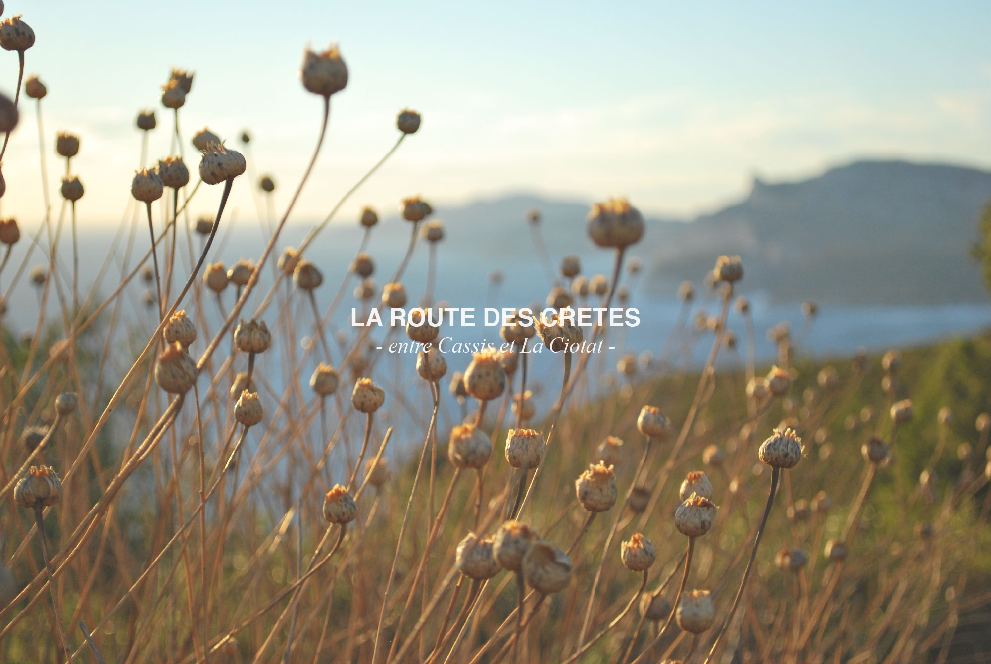 route des cretes photo