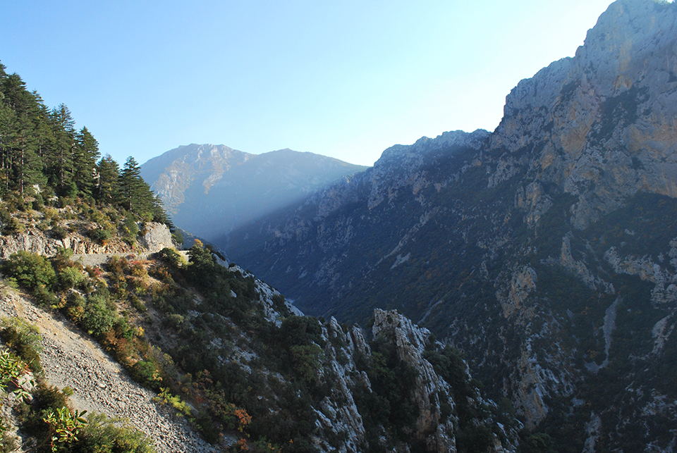 verdon provence