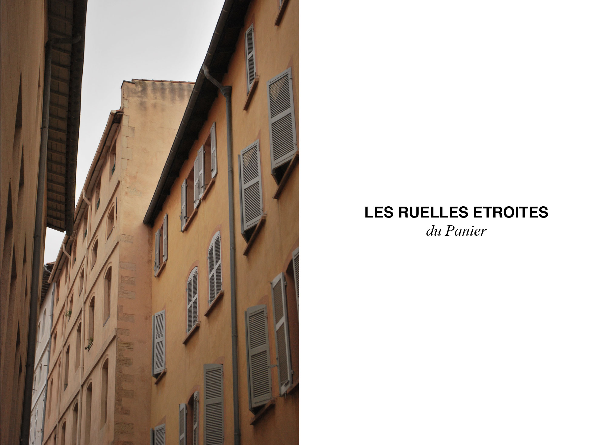 promenade dans le panier