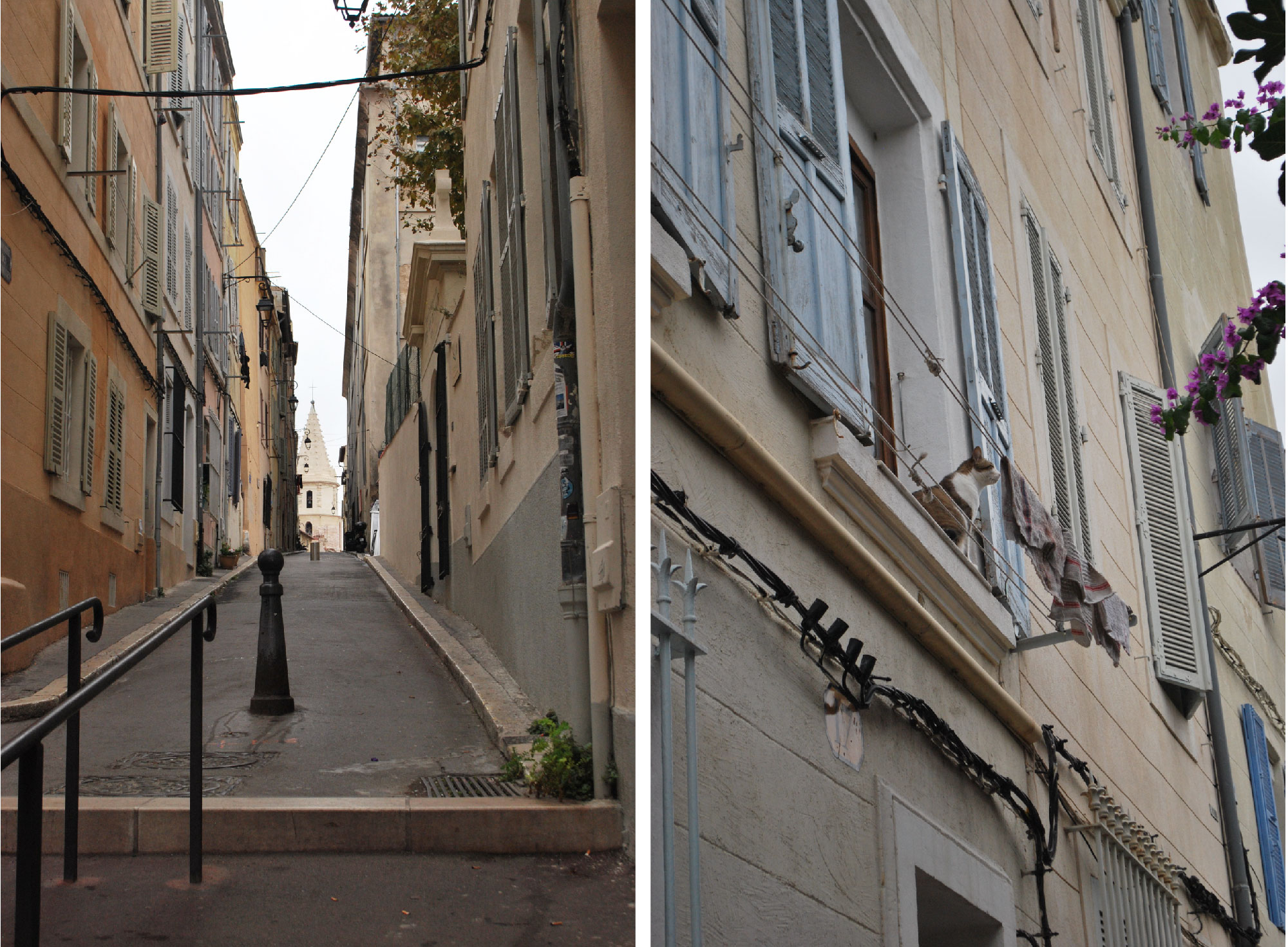 balade panier marseille