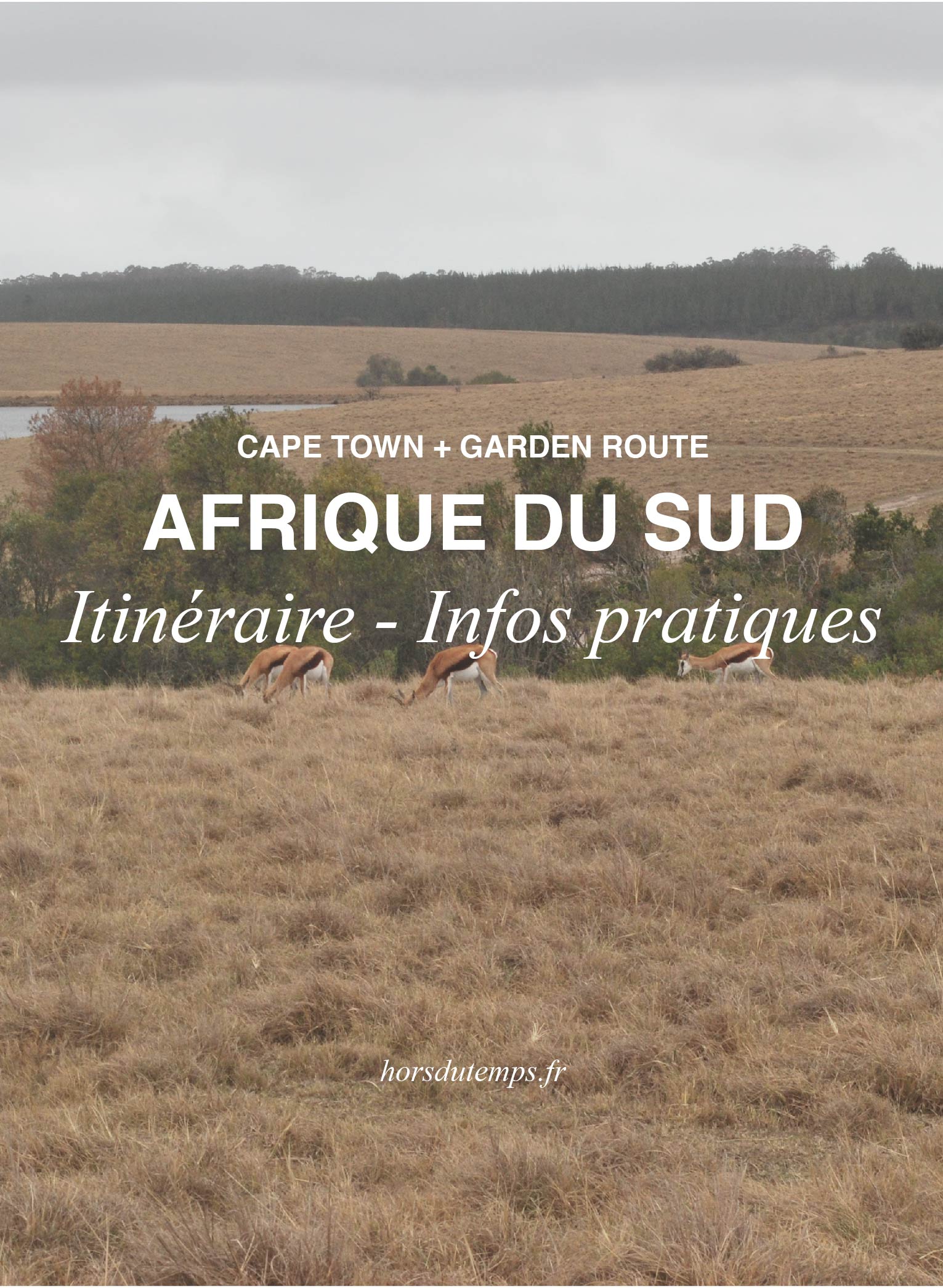 infos pratiques afrique du sud pinterest