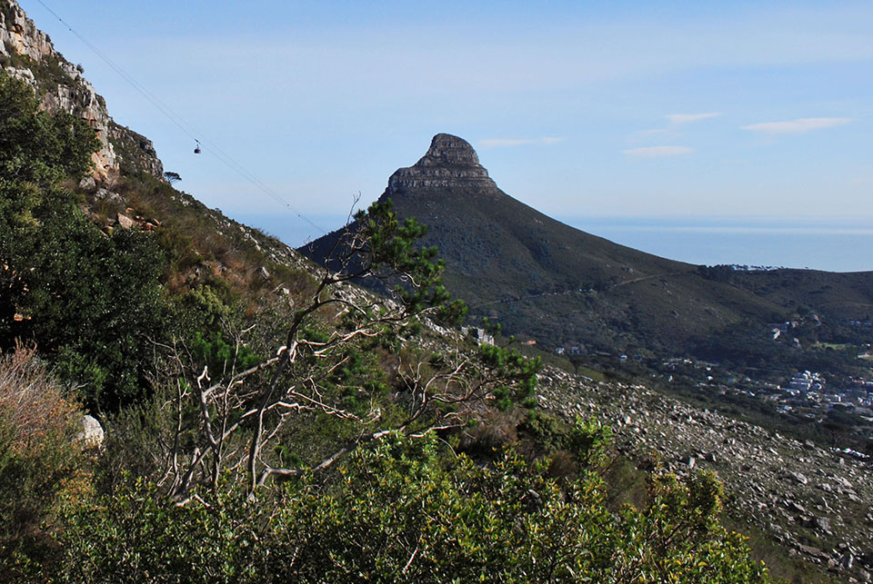 lion's head table mountain