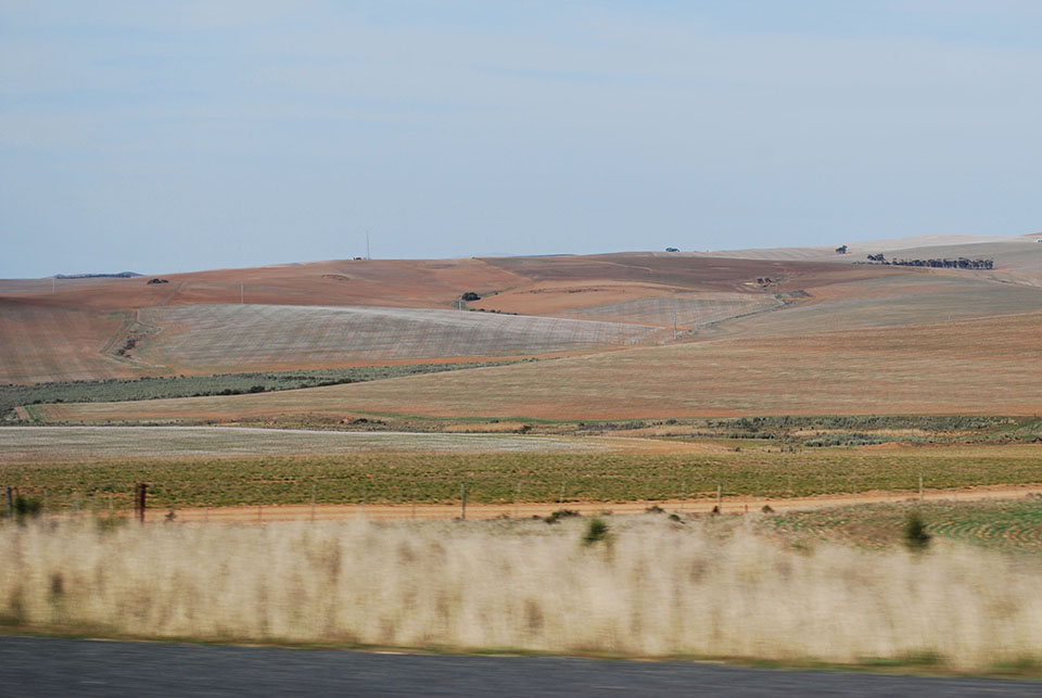 conduire en afrique du sud