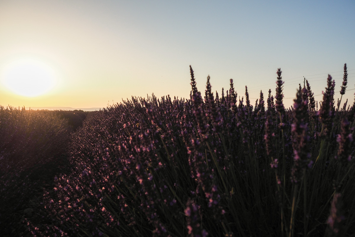 coucher de soleil