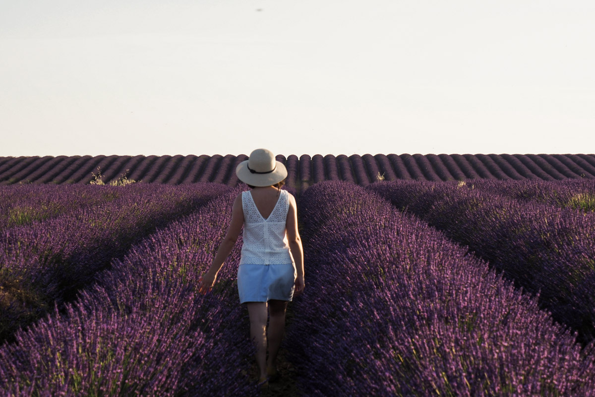 lavande femme chapeau