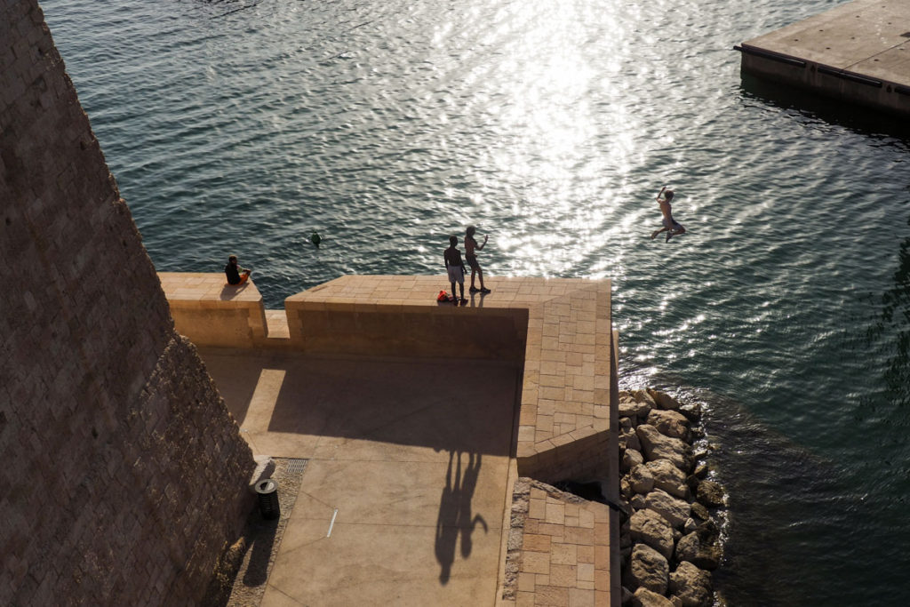 mucem plongeon