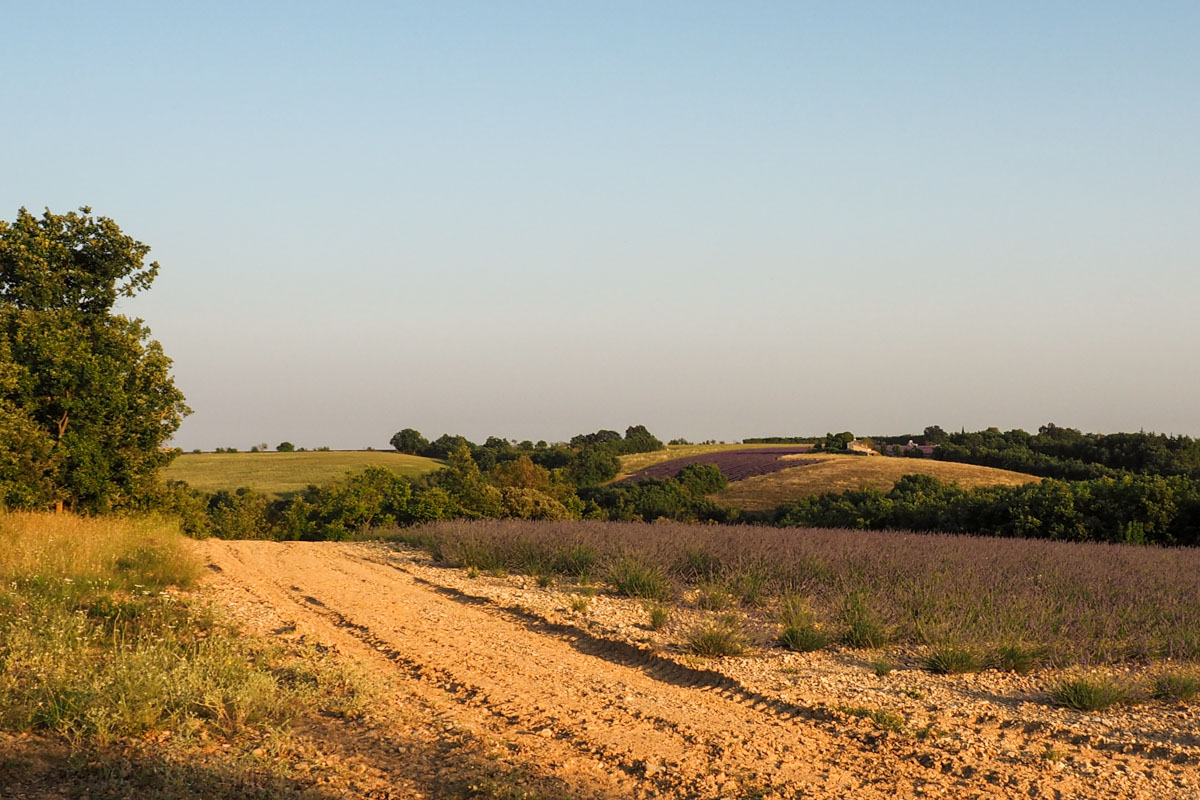 paysage provence été