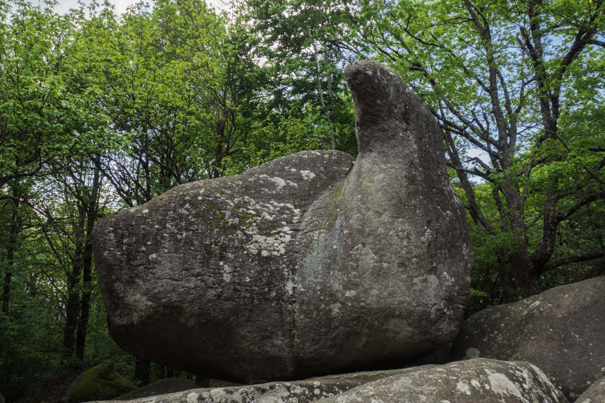 roc de oie sidobre