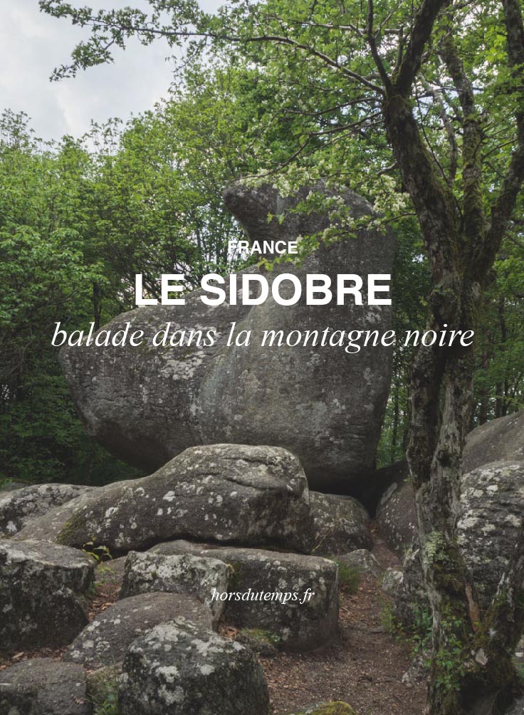 visiter le sidobre pinterest