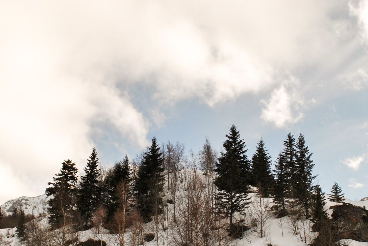 ski pyrenees