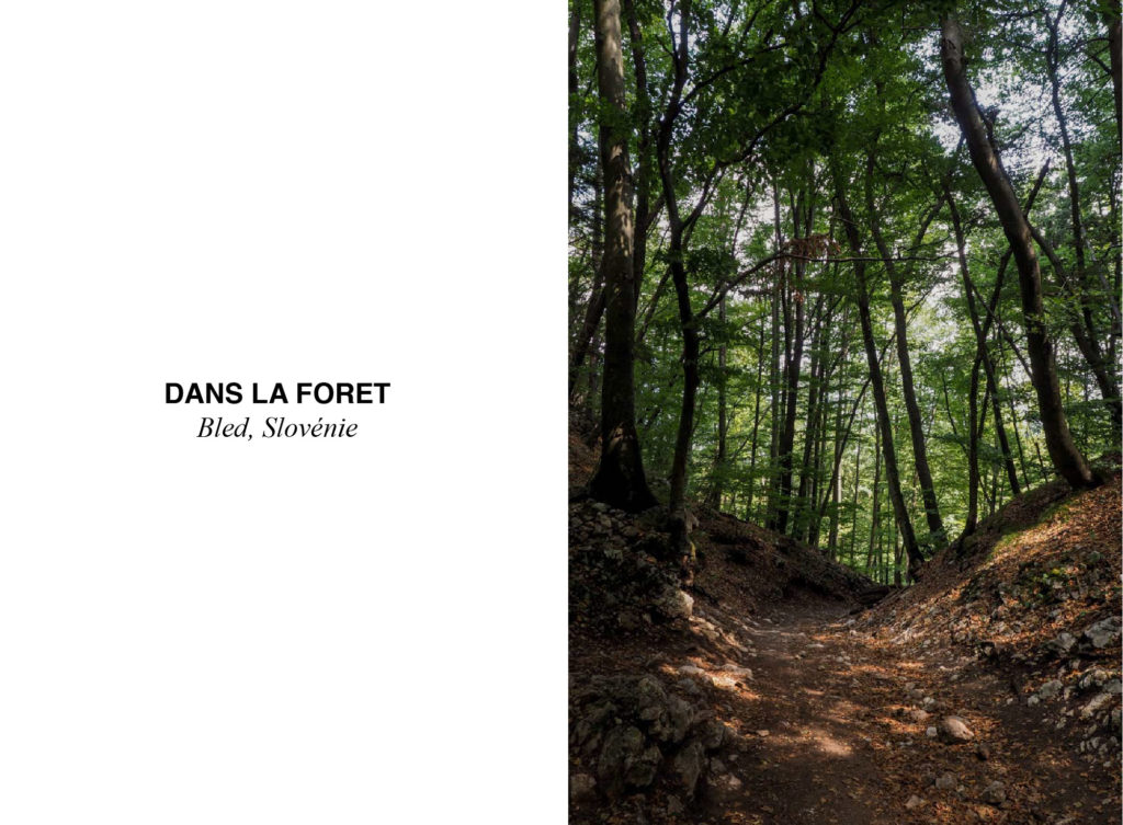lac de bled foret