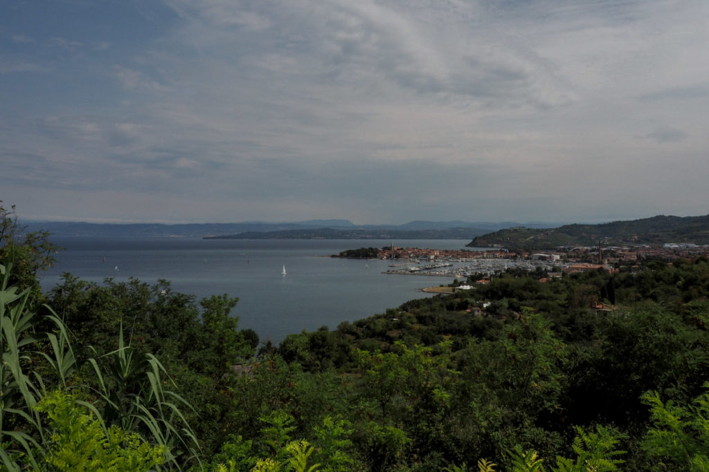 izola istrie