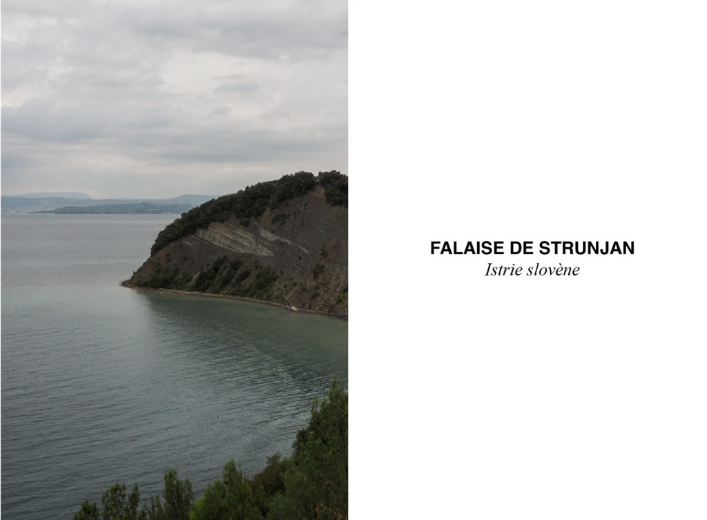 falaise de strunjan