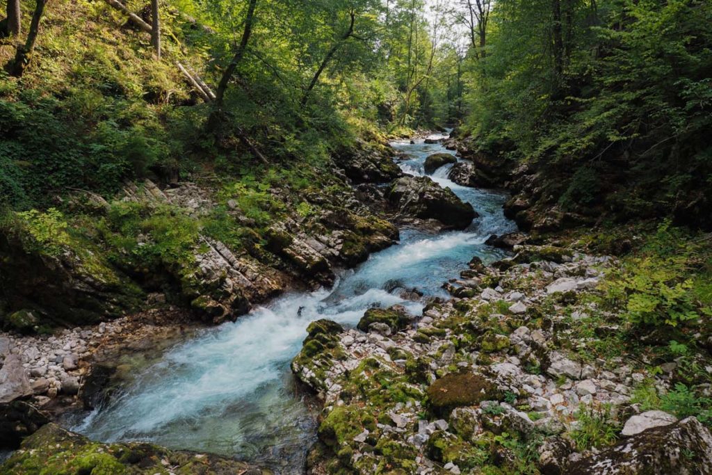 gorges de vintgar slovénie