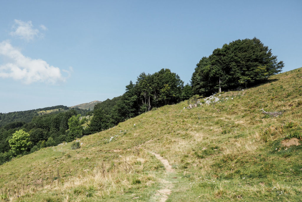 randonnée alpes