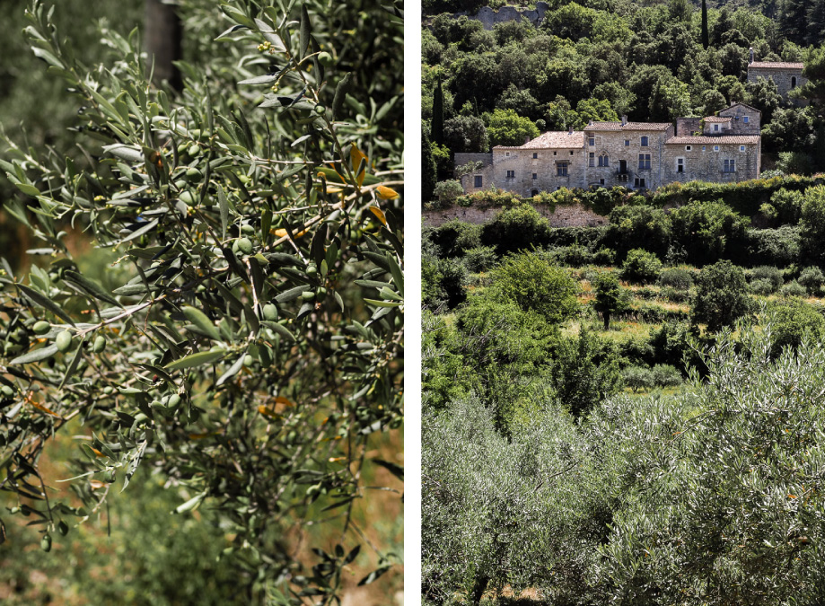 oppede luberon