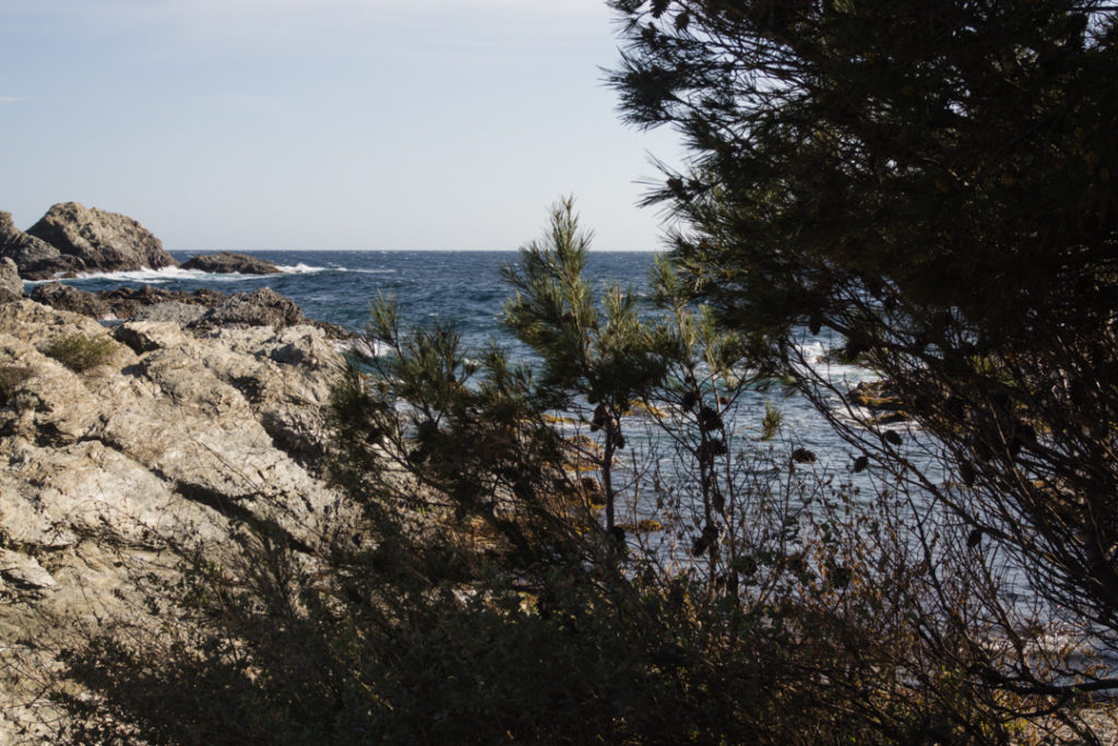 ile du gaou balade