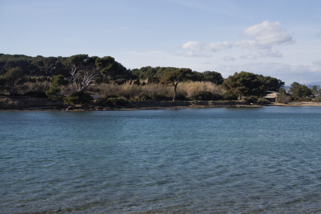 ile du gaou sanary